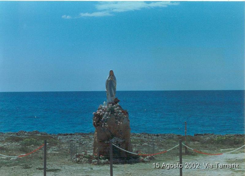 Madonna_tamarix.JPG