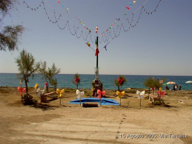 tamarix05_01.JPG