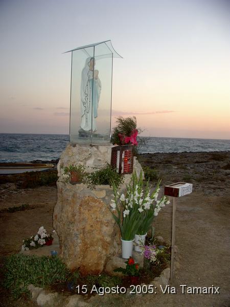 tamarix05_05.JPG