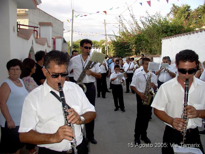 tamarix05_09.JPG