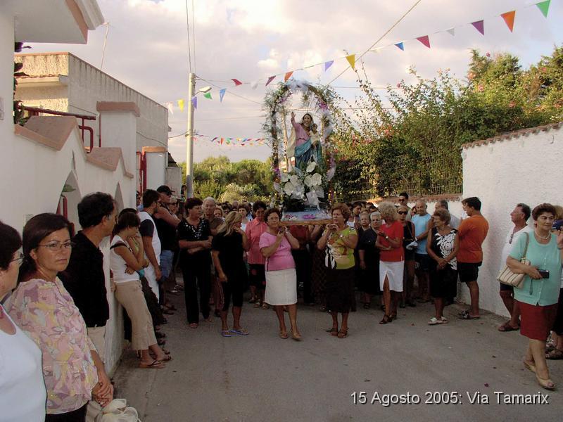 tamarix05_12.JPG