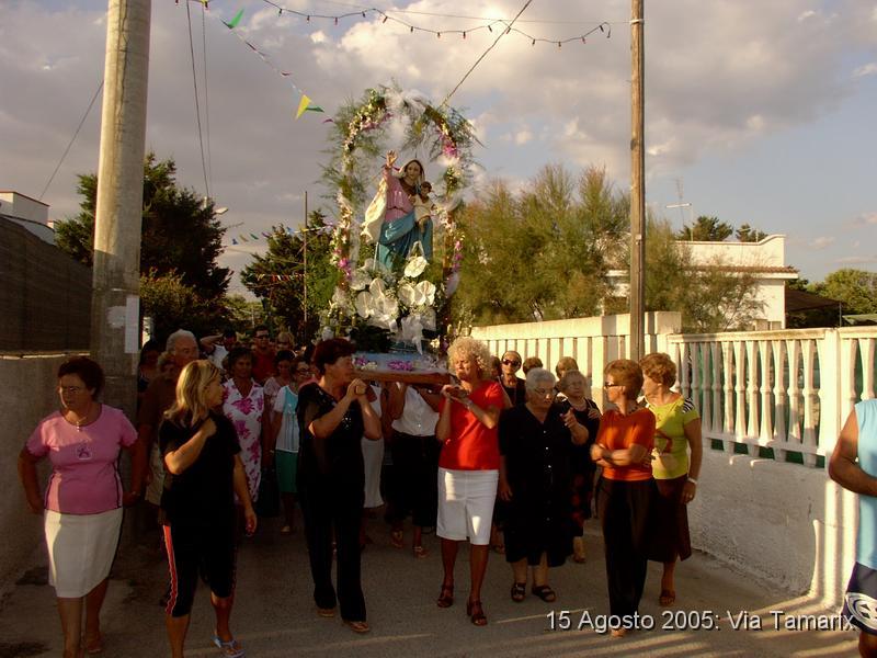 tamarix05_15.JPG