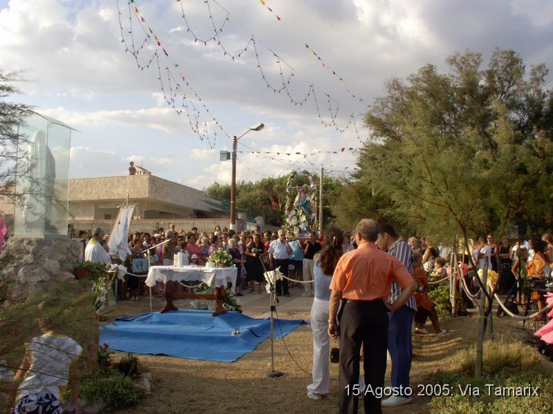 tamarix05_26.JPG