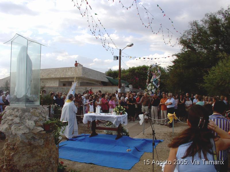 tamarix05_29.JPG
