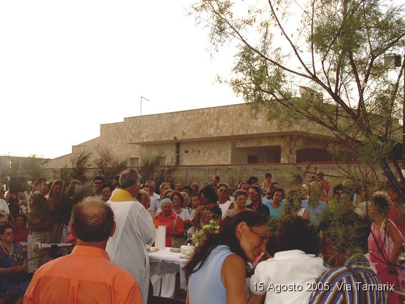 tamarix05_40.JPG