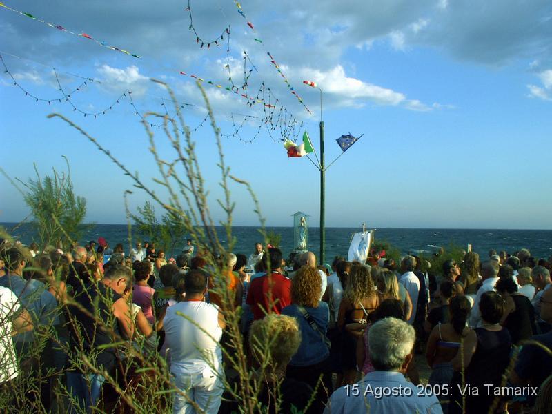 tamarix05_45.JPG