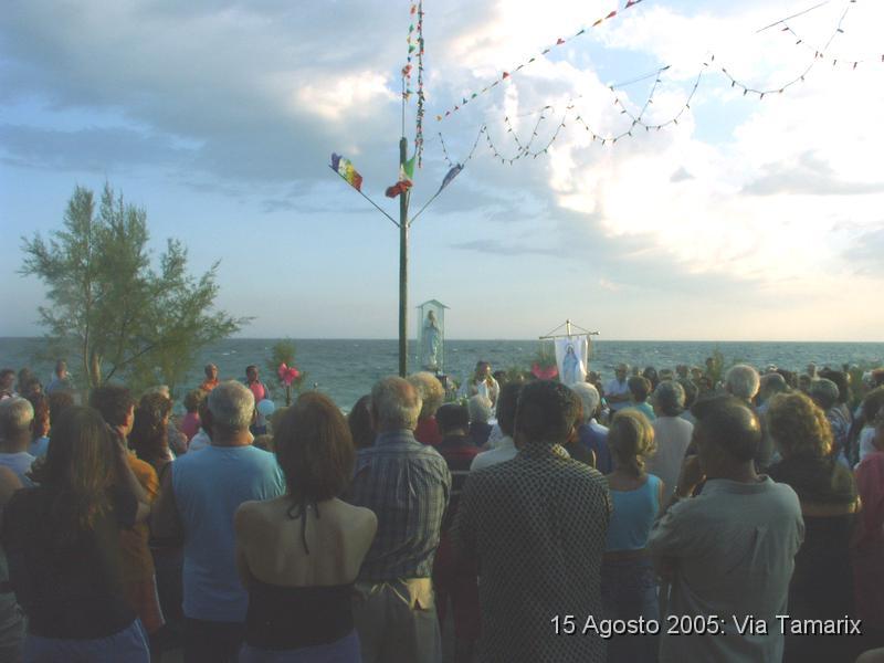 tamarix05_48.JPG