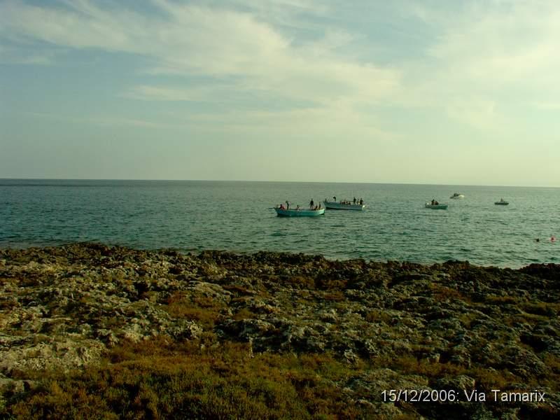 2006_077.JPG