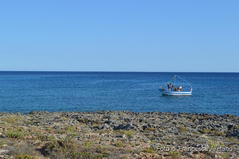 DSC_0228.JPG